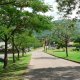32- Rue principale de Taiohae 